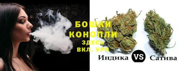 apvp Богородск